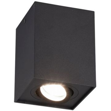 Trio BISCUIT 613000132 Aufbau-Downlight 1x35w/gu10 ip20