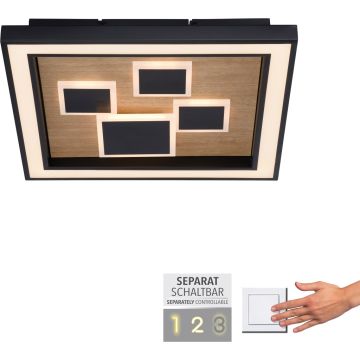 Paul Neuhaus ELIZA 6283-79 Deckenlampe 1x55W/LED 3000k 5760lm ip20