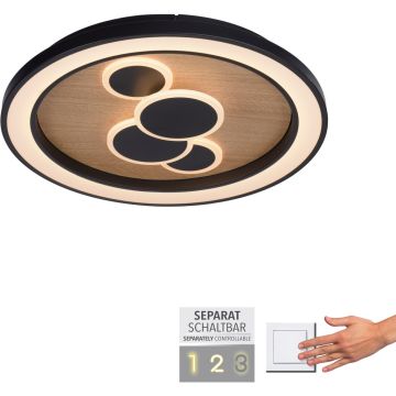 Paul Neuhaus ELIZA 6284-79 Deckenlampe 1x63W/LED 3000k 6620lm ip20