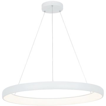 Zambelis PENDANT LED 2061 Pendelleuchte 60W/led 3000K 4800lm IP20