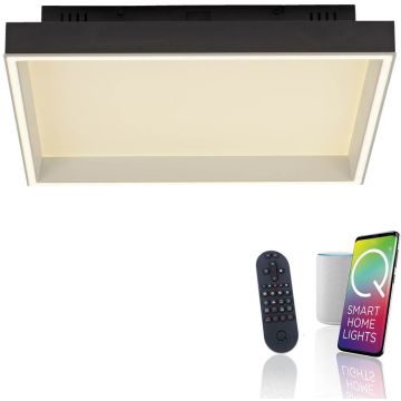 Paul Neuhaus Q-MAGONG 6316-18 Deckenlampe 1x40W/LED 2700-5000k 5700lm ip20