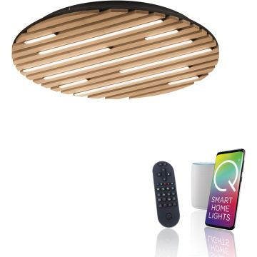 Paul Neuhaus Q-AKUSTIK 6421-79 Deckenlampe 1x38W/LED 2700-5000k 3360lm ip20