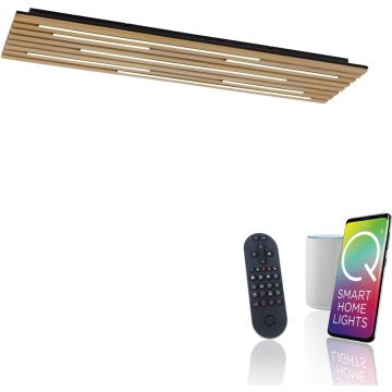Paul Neuhaus Q-AKUSTIK 6422-79 Deckenlampe 1x48W/LED 2700-5000k 4440lm ip20