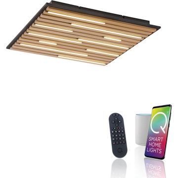 Paul Neuhaus Q-AKUSTIK 6423-79 Deckenlampe 1x35W/LED 2700-5000k 3240lm ip20