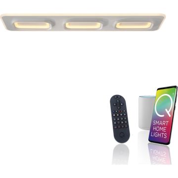 Paul Neuhaus Q-KALINA 6505-16 Deckenlampe 1x61W/LED 2700-5000k 6700lm ip20