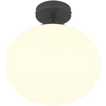 Trio FOMENTO 663100132 Deckenlampe 1x15w/e27 ip20