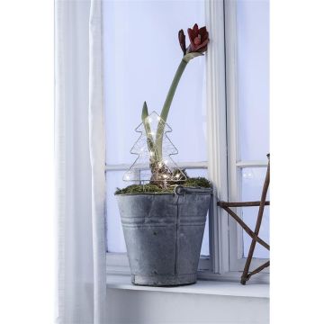 Markslojd GARDENER 703775 Stehende Dekoration 1x0,32W/LED