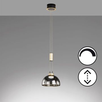 Fischer&Honsel Avignon 61013 Pendelleuchte 1x9W/LED 2700K 1000 lm IP20