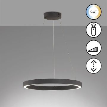 Fischer&Honsel Sirko 61049 Pendelleuchte 1x56W/LED 2700K 8000 lm IP20
