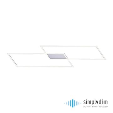 Paul Neuhaus INIGO 8194-55 Deckenleuchte 2x20W/LED 3000K 2700LM IP20