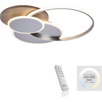Paul Neuhaus PALMA 8328-79 Deckenlampe 1x55W/LED 2700-5000k 6000lm ip20