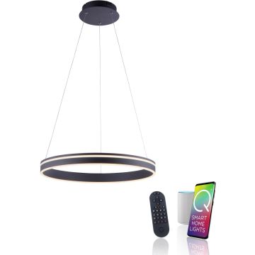 Paul Neuhaus Q-VITO 8411-13 Pendelleuchte 1x44W/LED 2700-5000k 4550lm ip20