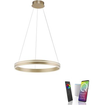 Paul Neuhaus Q-VITO 8411-60 Pendelleuchte 1x44W/LED 2700-5000k 4550lm ip20