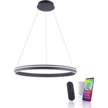 Paul Neuhaus Q-VITO 8412-13 Pendelleuchte 1x65W/LED 2700-5000k 7000lm ip20
