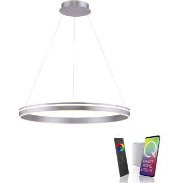 Paul Neuhaus Q-VITO 8412-55 Pendelleuchte 1x65W/LED 2700-5000k 7000lm ip20