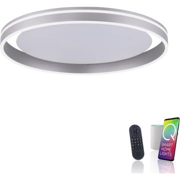 Paul Neuhaus Q-VITO 8416-55 Deckenlampe 1x44W/LED 2700-5000k 4570lm ip20