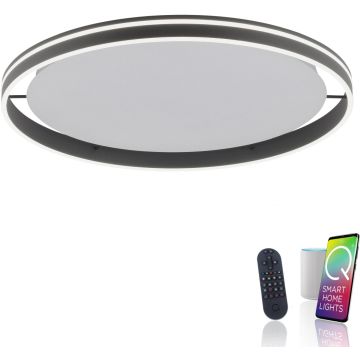 Paul Neuhaus Q-VITO 8418-13 Deckenlampe 1x65W/LED 2700-5000k 7000lm ip20