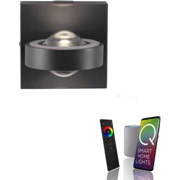 Paul Neuhaus Q-MIA 9185-13 Wandleuchte 4x11W/LED 2700-5000k 1100lm ip20