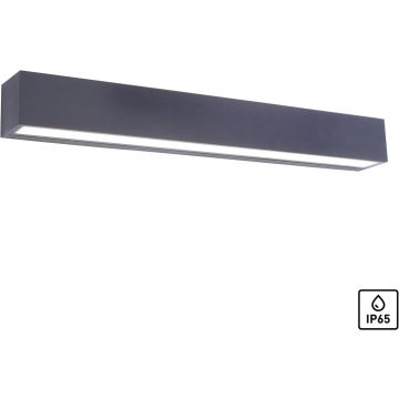Paul Neuhaus ROBERT 9676-13 Wandleuchte 1x36W/LED 3000k 4690lm ip65