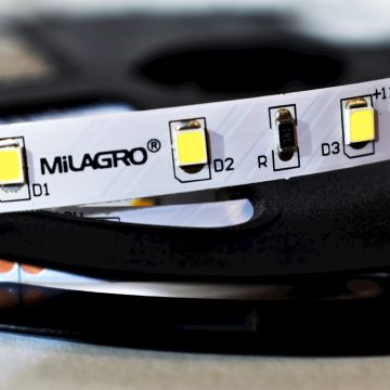 Milagro LED STRIP ML4747 LED-Band 24W/500cm IP20