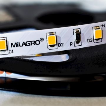 Milagro LED STRIP ML4749 LED-Band 24W/500cm IP20
