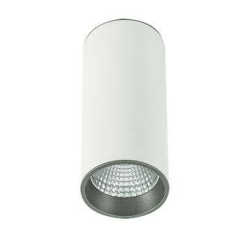 Italux MOLDES SLC7392/12W 4000K WH+GR Aufbau-Downlight 1x12W/LED 820LM IP20