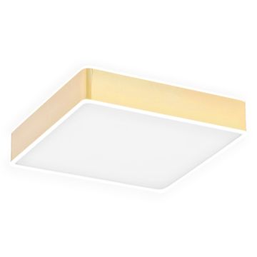 Argon ATLANTIS 4051 Deckenleuchte 1x32W/LED 3000K 3900LM IP20