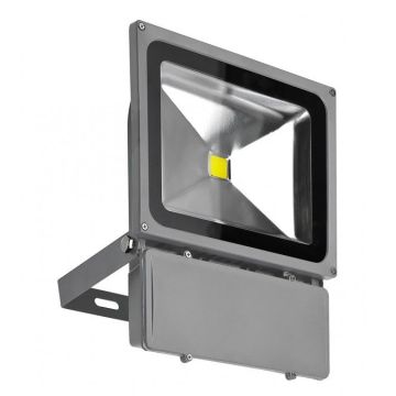 AZzardo FLOOD LIGHT AZ1201 Halogenstrahler 1x80W/LED 4200K 5600LM IP65