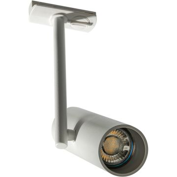 AZzardo LOLO AZ4655 Schienenstrahler 1x50W/GU10 IP20