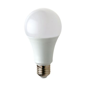 Eko Light BULB EKZA0209 Glühbirne 1x15W/E27 6000K 1500lm IP20