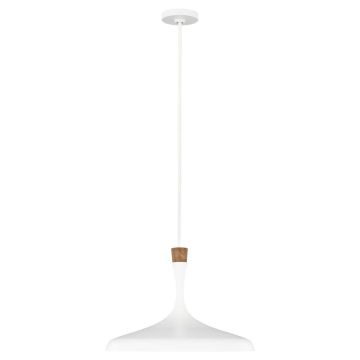 Feiss DARWIN FE-DARWIN-P Pendelleuchte 1x60W/E27
