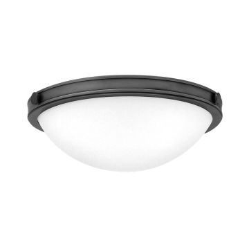 Hinkley Lighting Collier HK-COLLIER-F-S-BX Deckenleuchte 2x40W/E27 IP20