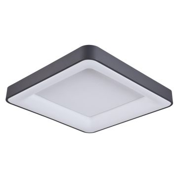 Italux GIACINTO 5304-850SQC-BK-4 Deckenleuchte 1x50W/LED 4000K 2750LM IP20