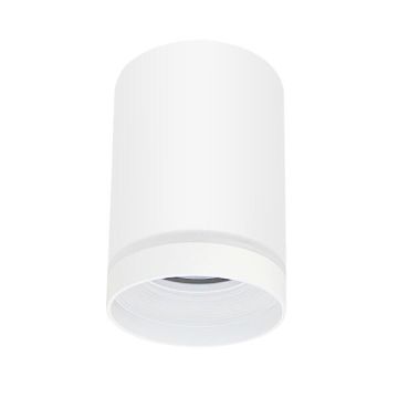 Polux FABRI 319883 Aufbau-Downlight max 10W LED IP20