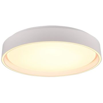Trio FELIS R64391031 Deckenlampe 1x24w/led 2700-6500K 2500lm ip20