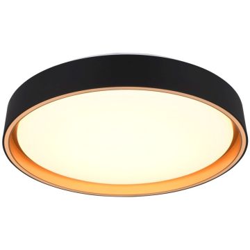 Trio FELIS R64391080 Deckenlampe 1x24w/led 2700-6500k 2500lm ip20