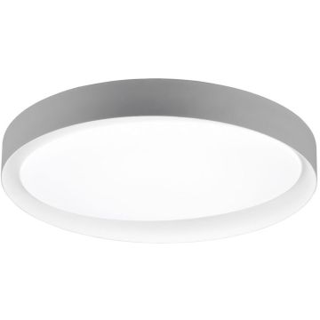 Trio ZETA R62712411 Deckenlampe 1x24w/led 2700-6500k 2500lm ip20