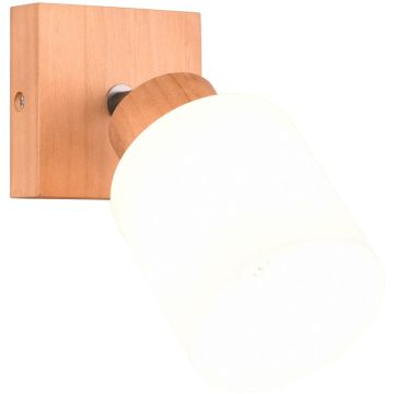 Trio ASSAM R81111030 Wandleuchte 1x25w/e14 ip20