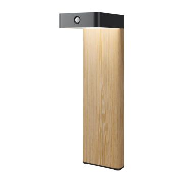 Maytoni Nordis O140FL-L2BK1 Stehlampe 1x2W/LED 3000K 98lm IP65