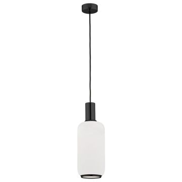 Argon SAGUNTO 8563 Pendelleuchte 1x15W/E27 IP20
