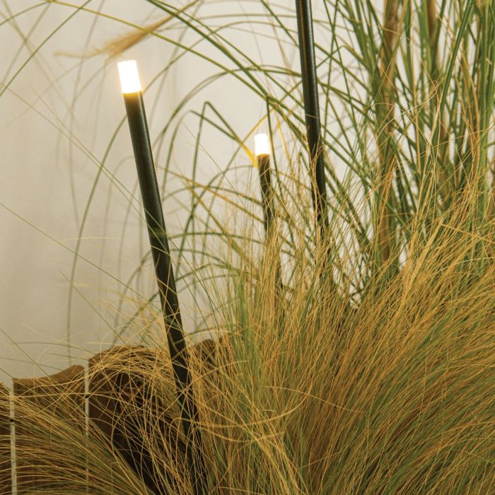 Zambelis-SPIKE LIGHT-E329-ZAME329