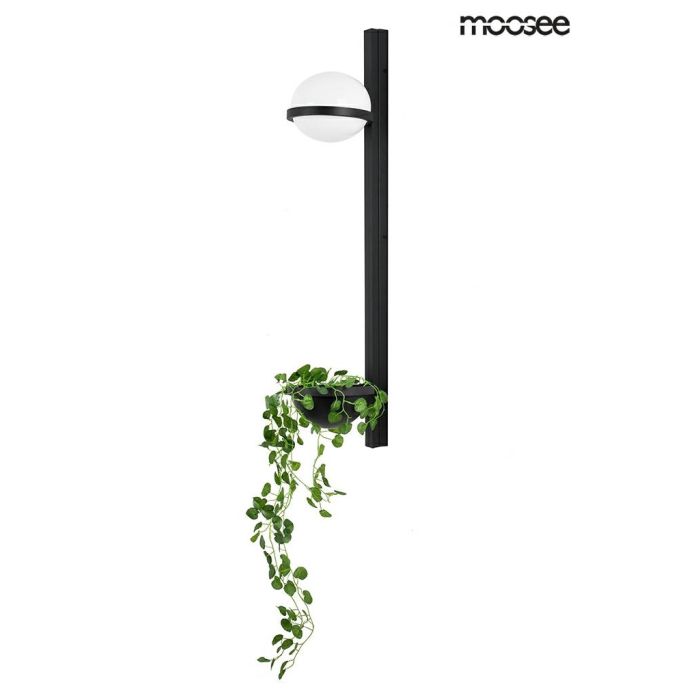 King Home-MOOSEE PLANT WALL-MSE010400222-KNGMSE010400222